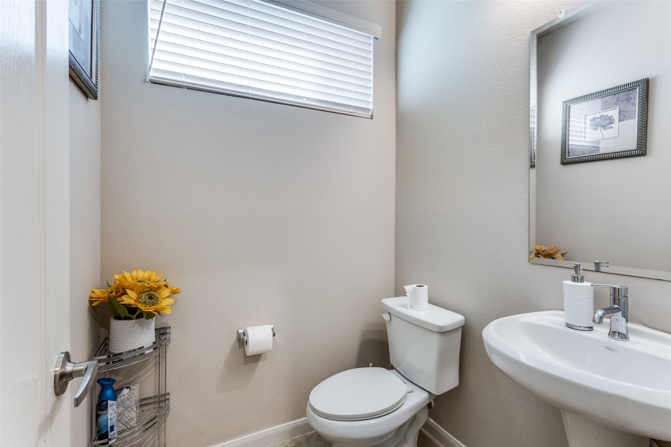 1017 Sheldon Drive Anna TX 75409
