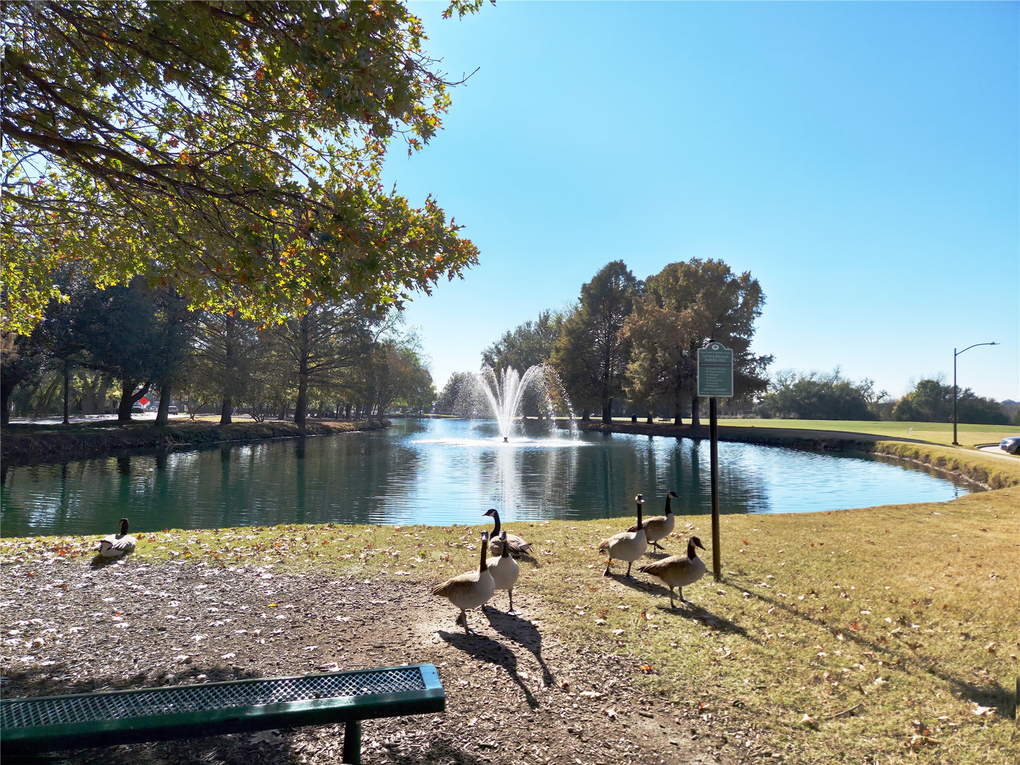 1013 Cross Plains Drive Allen TX 75013