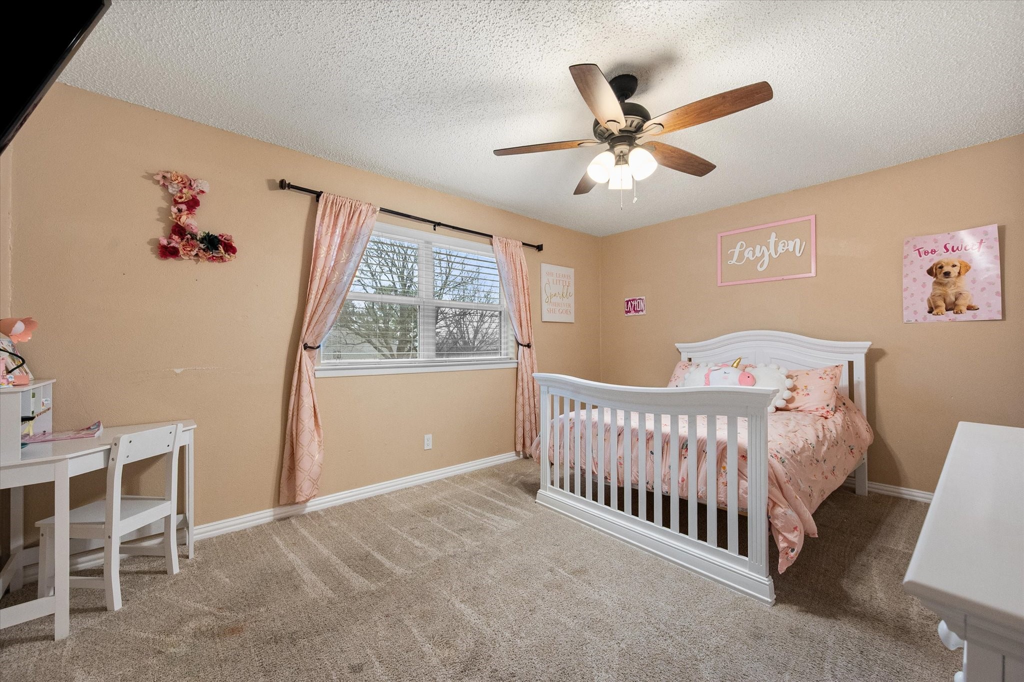 806 Ridgeway Road Joshua TX 76058