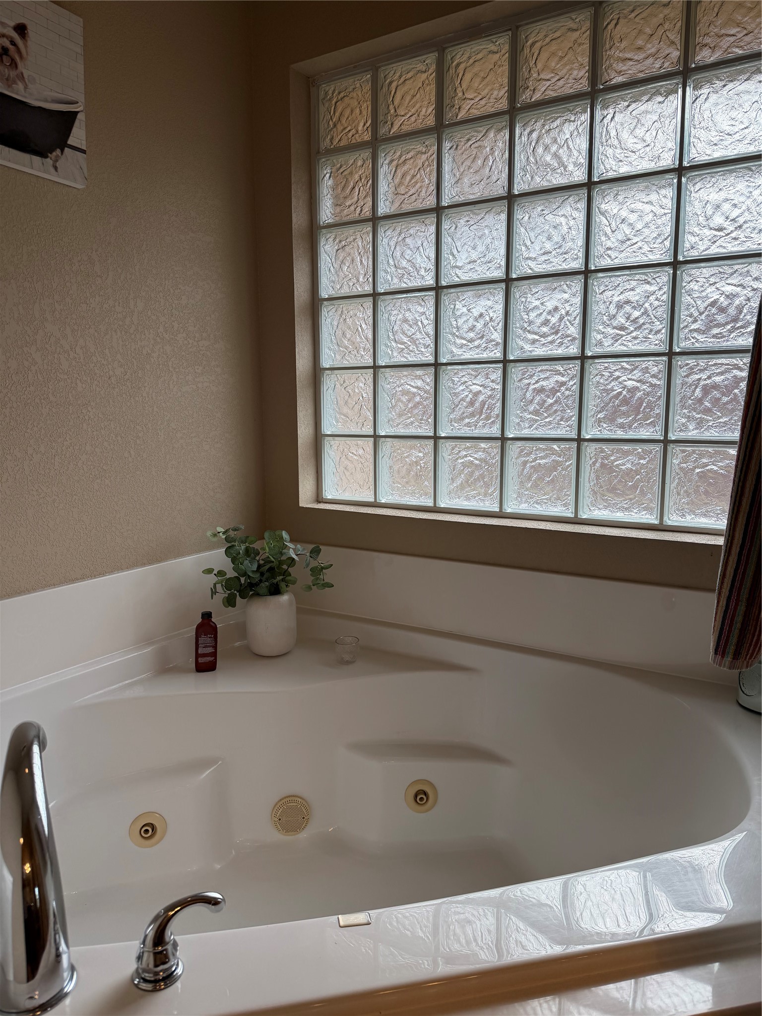 950 Swift Water Drive Abilene TX 79602