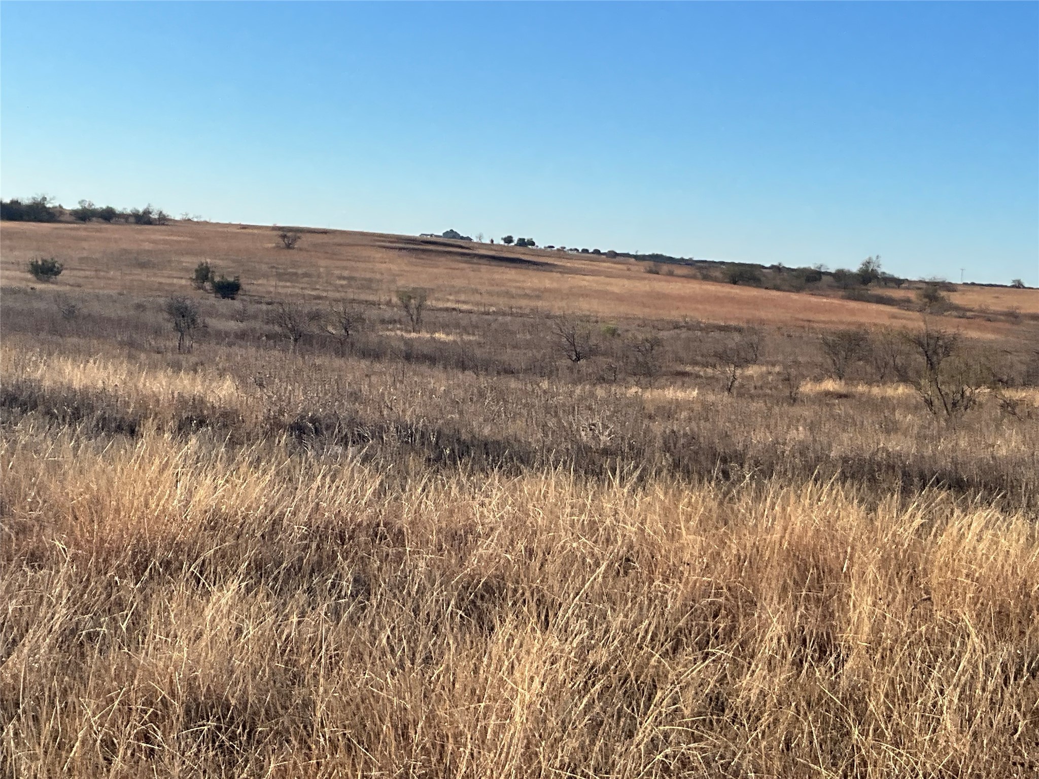 565 Fm 1241 Hamilton TX 76531
