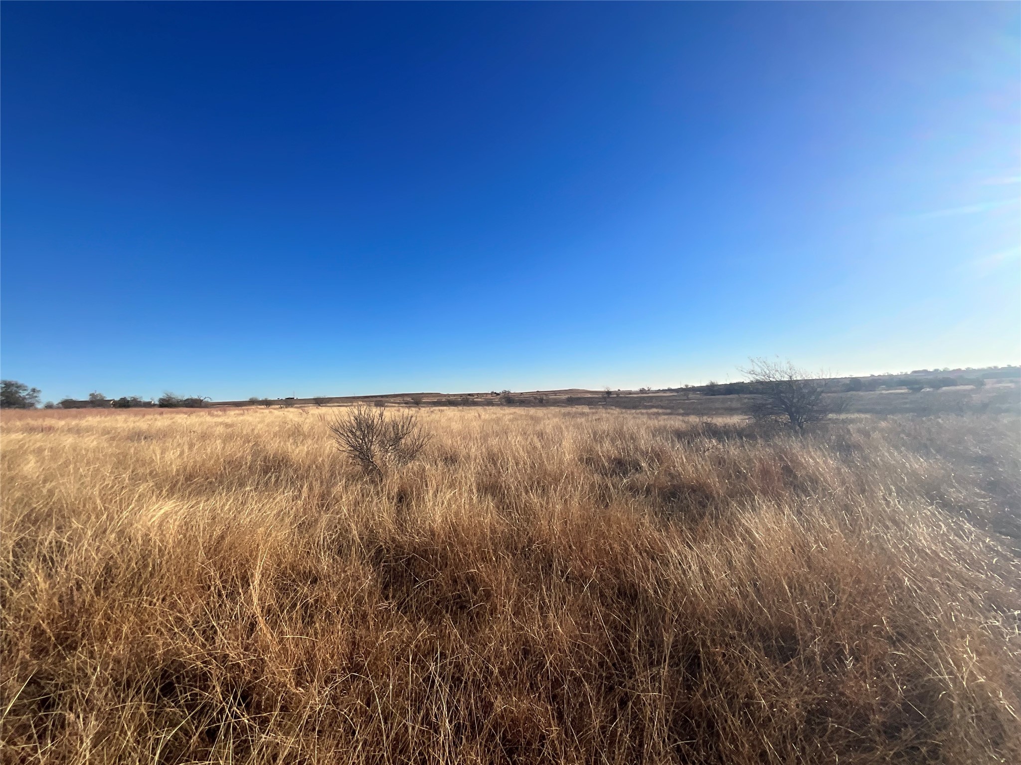 565 Fm 1241 Hamilton TX 76531