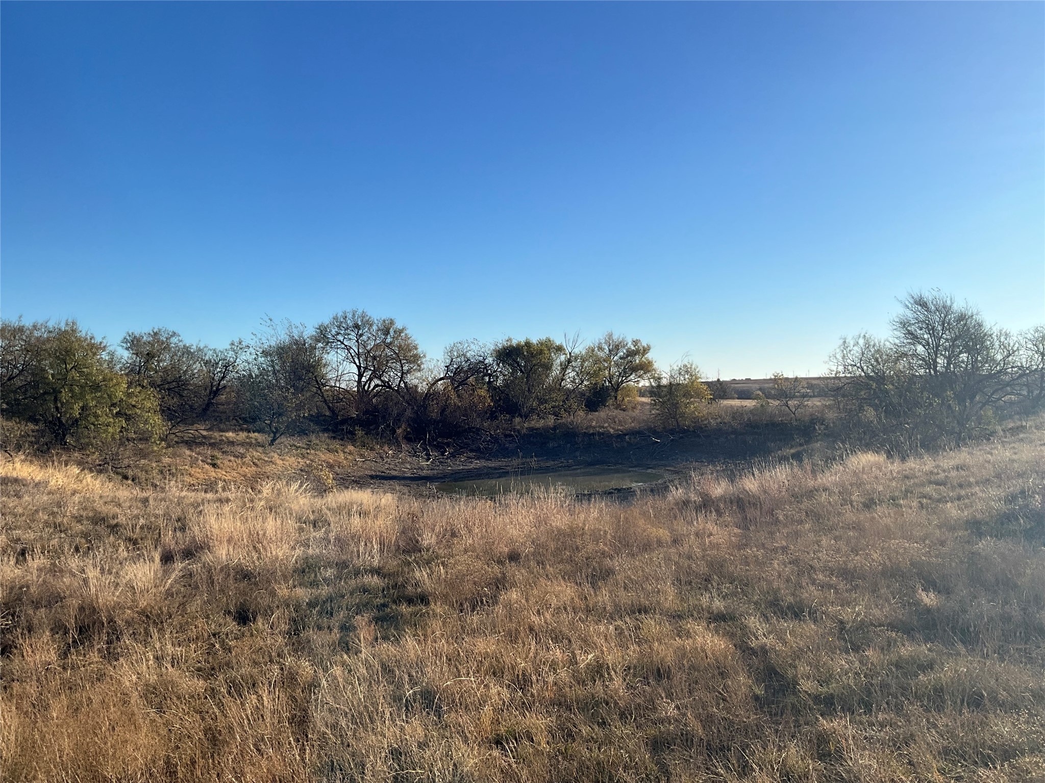 565 Fm 1241 Hamilton TX 76531