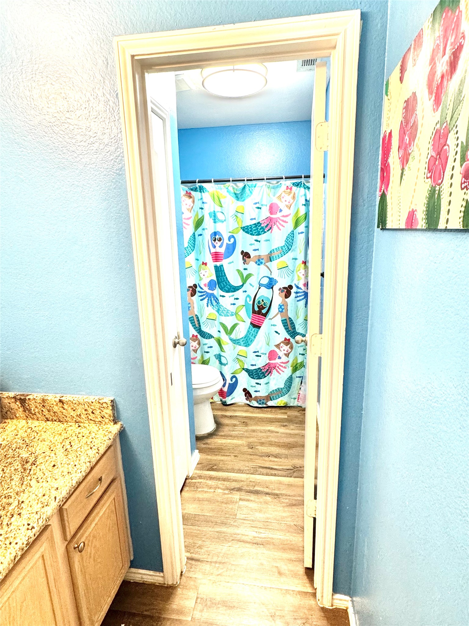 1208 Rio Vista Drive Desoto TX 75115