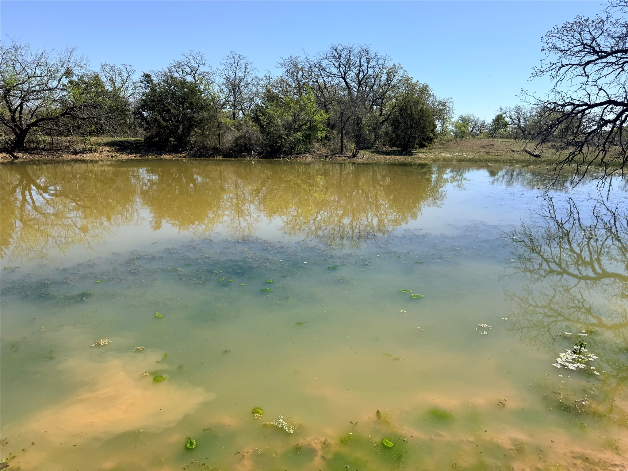 421 Erwin Jacksboro TX 76458