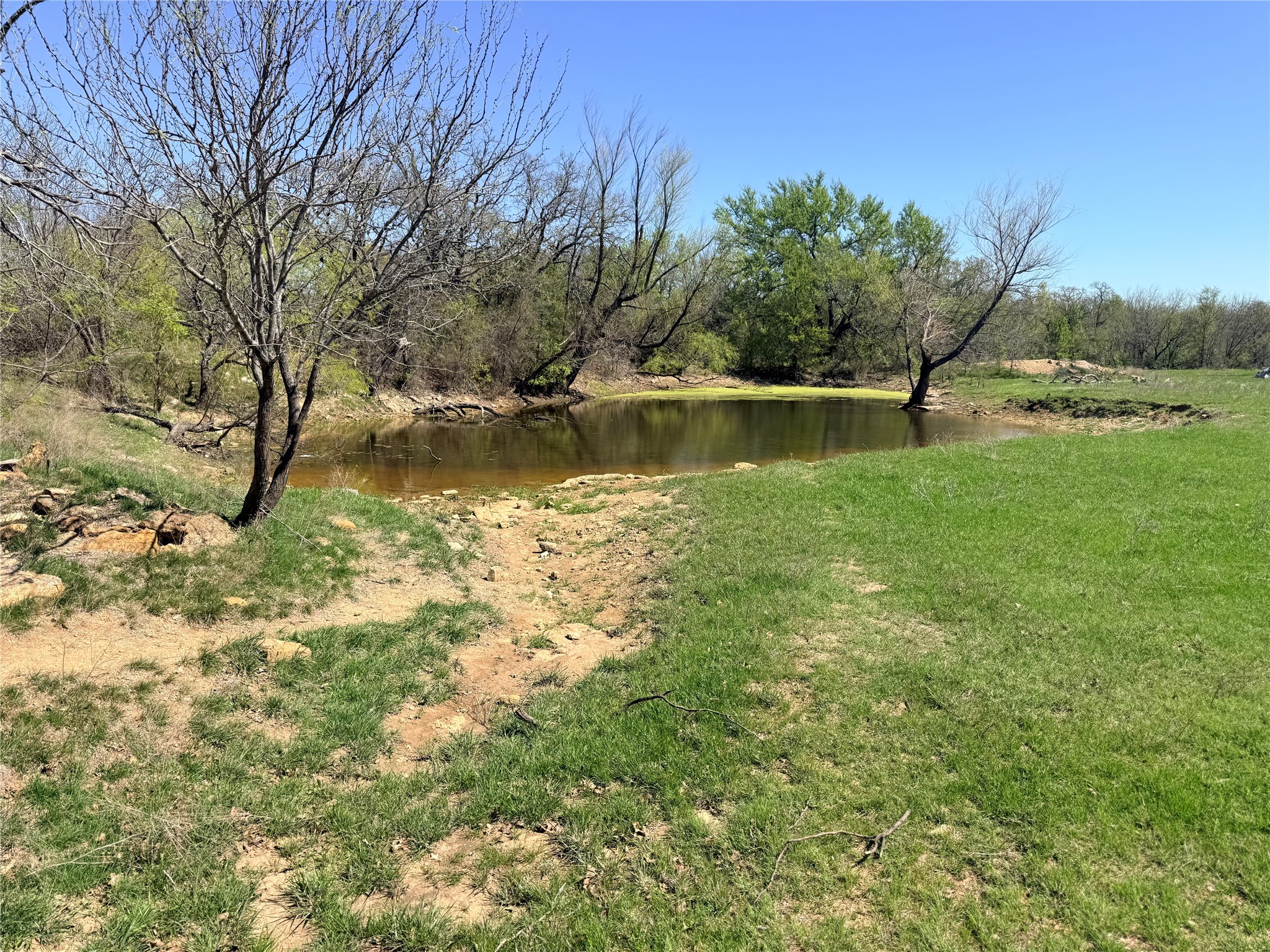 421 Erwin Jacksboro TX 76458