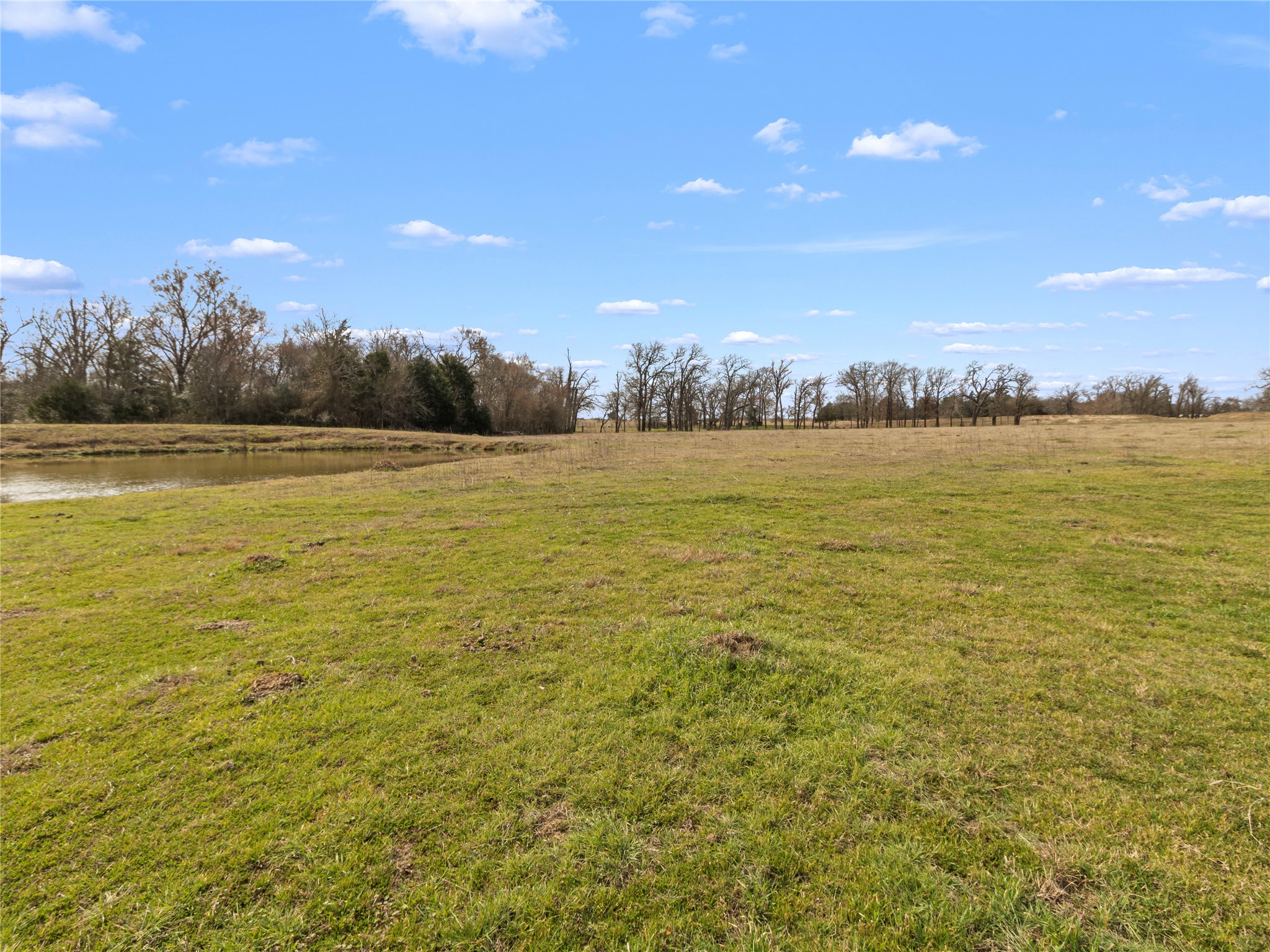 210 County Road 752 Donie TX 75838