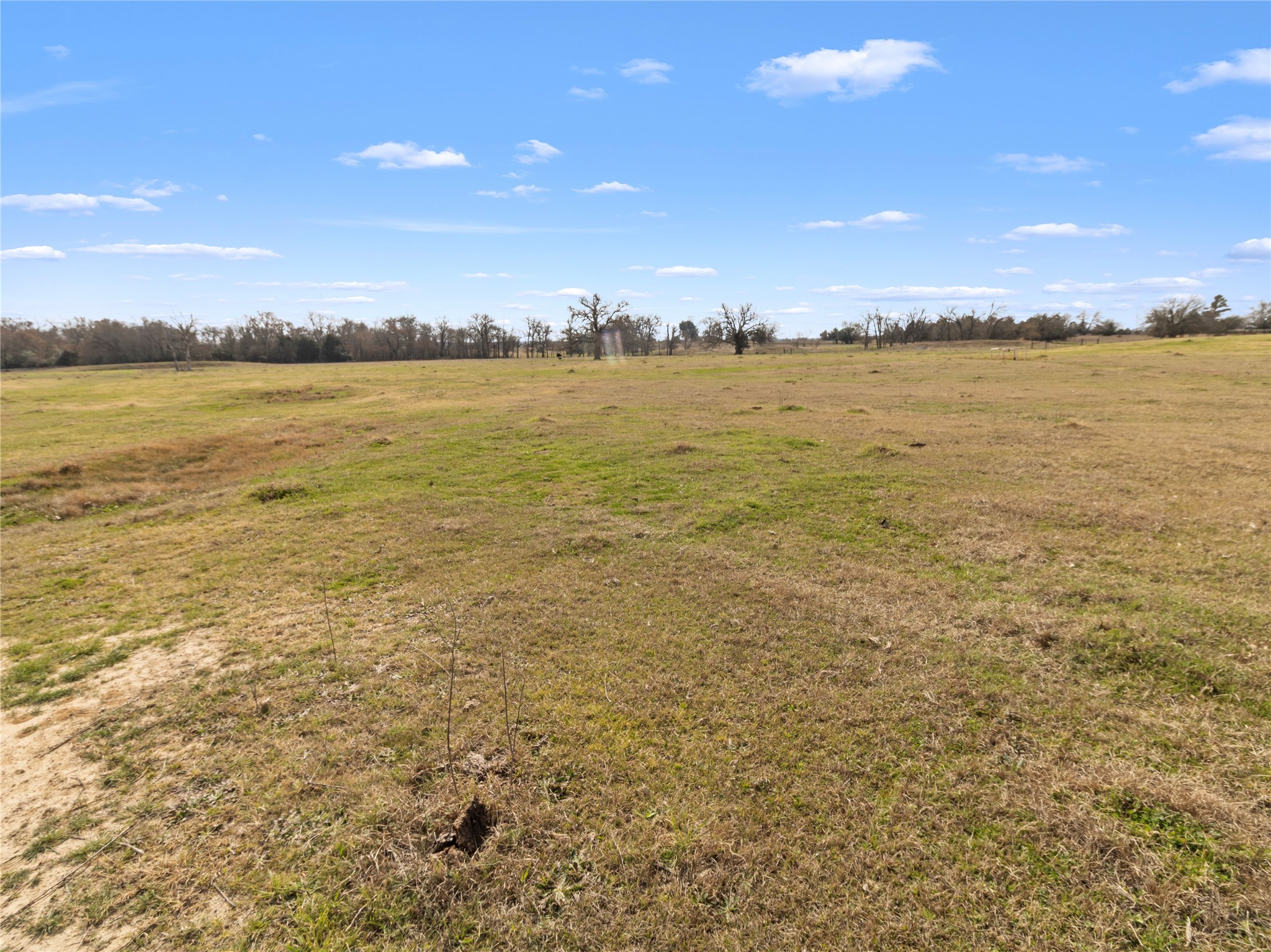 210 County Road 752 Donie TX 75838