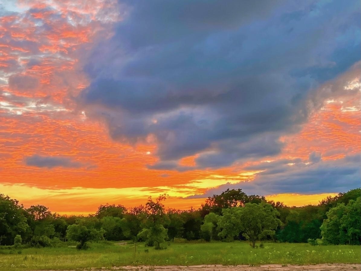 7328 Highway 183 N Early TX 76802