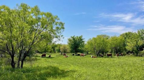 7328 Highway 183 N Early TX 76802