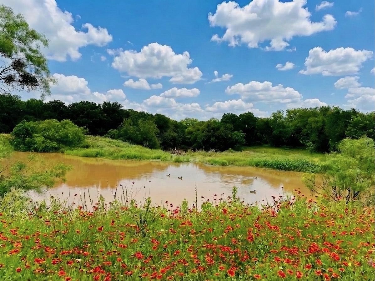 7328 Highway 183 N Early TX 76802