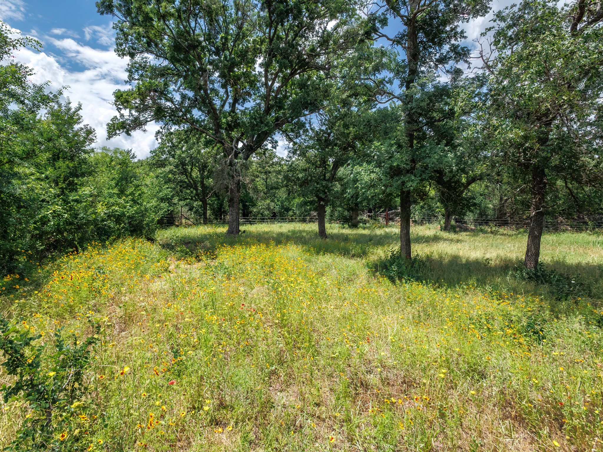 6051 County Road 103 Brownwood TX 76801