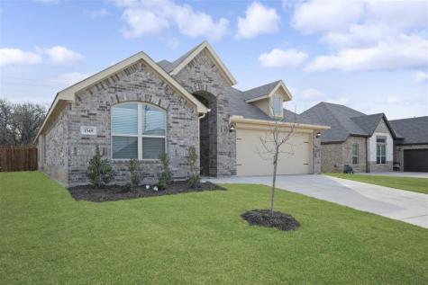 317 Rosie Court Argyle TX 76226