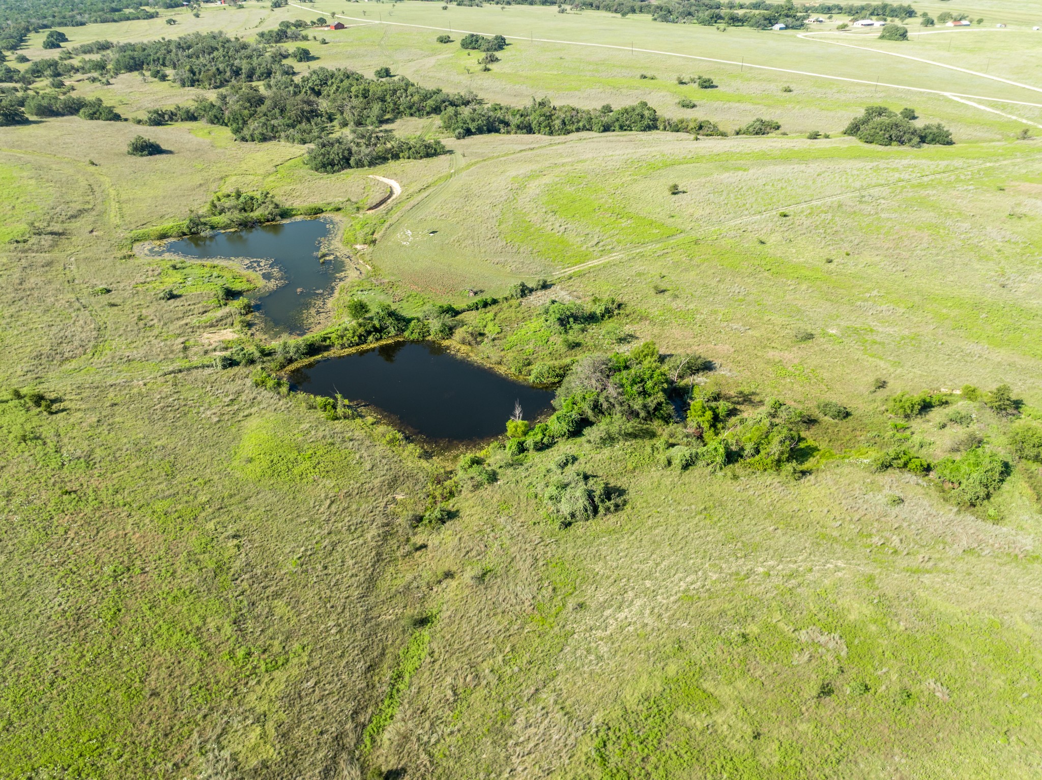 2977 Fm 1241 Purmela TX 76566
