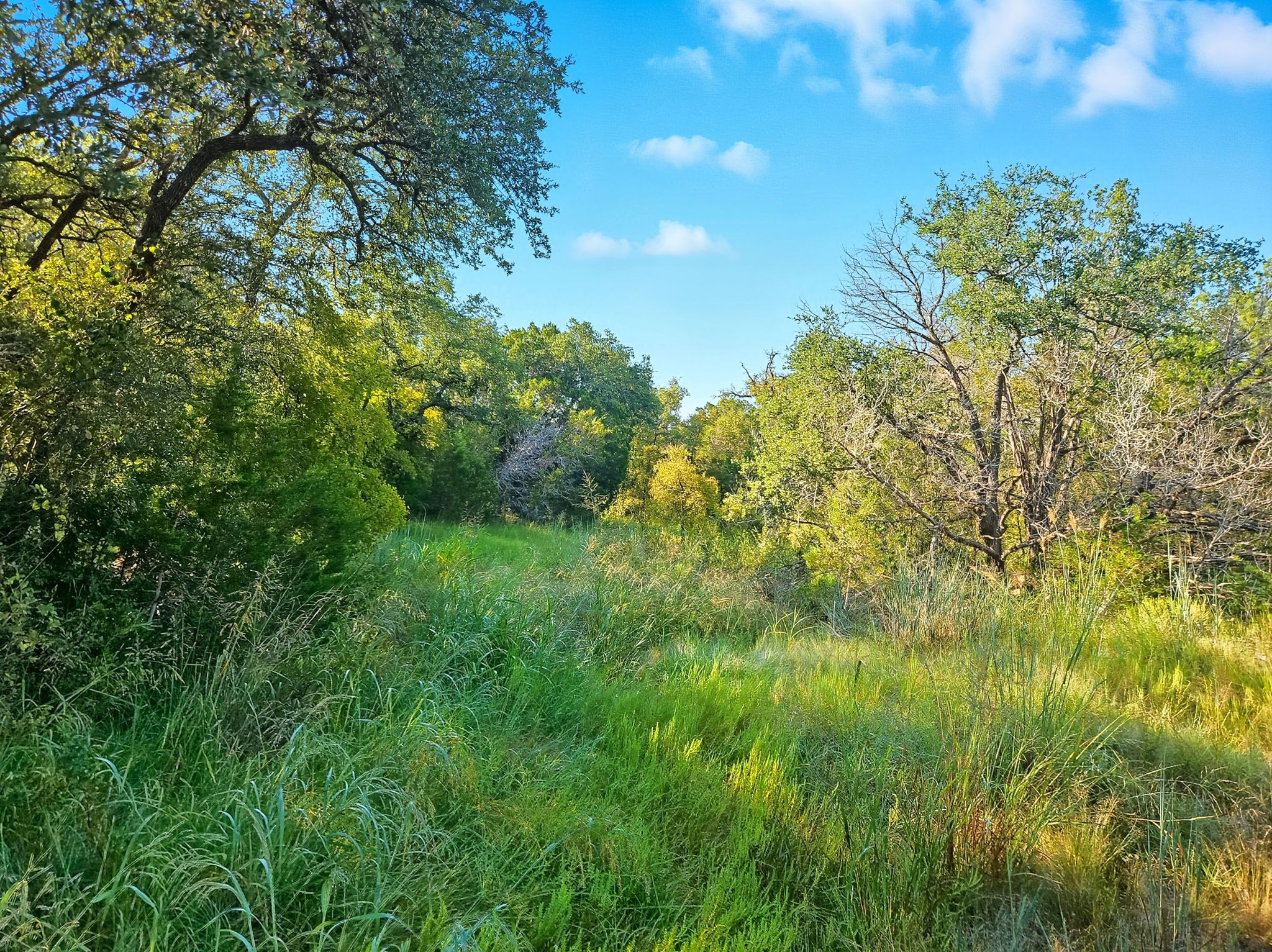 2977 Fm 1241 Purmela TX 76566