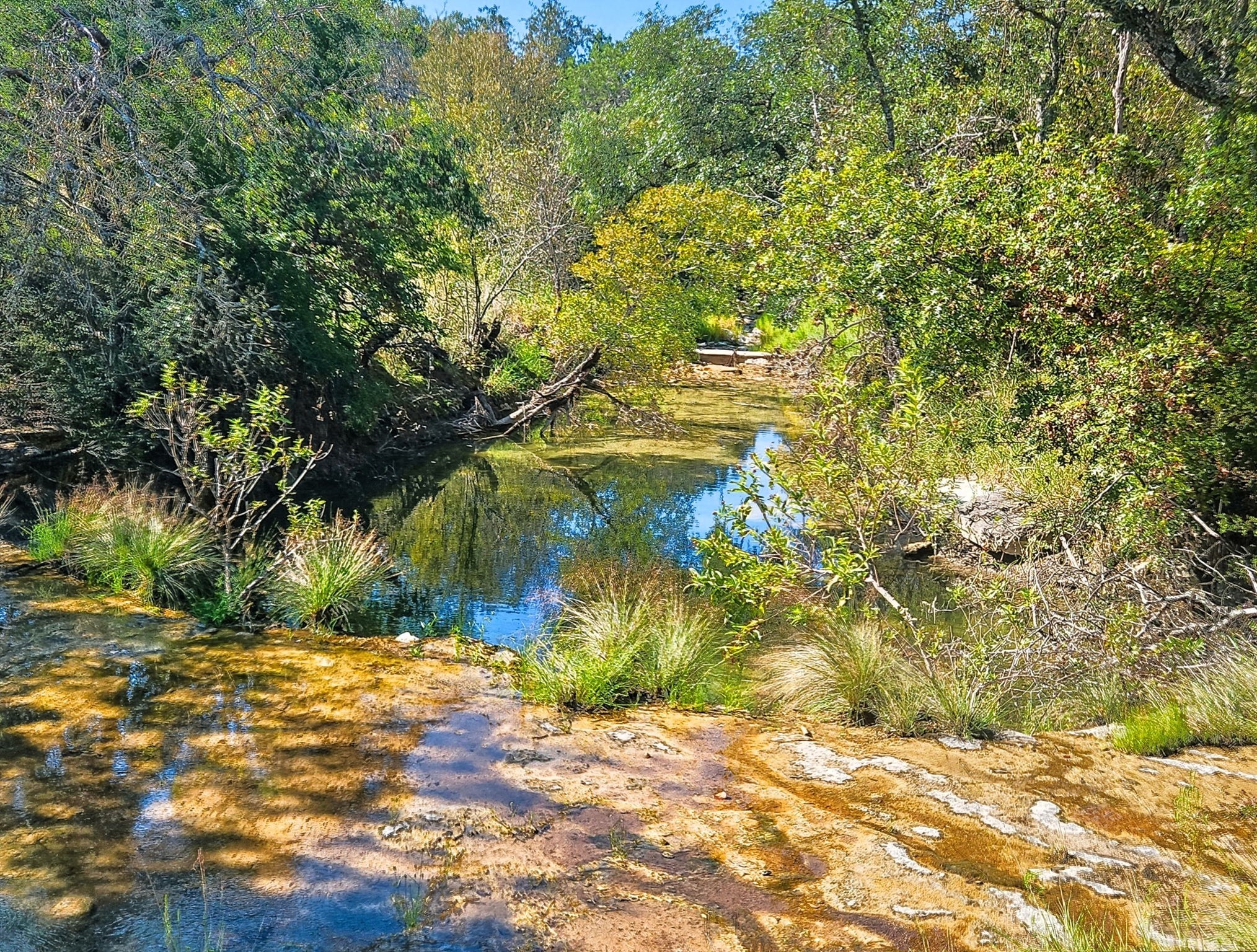 2977 Fm 1241 Purmela TX 76566