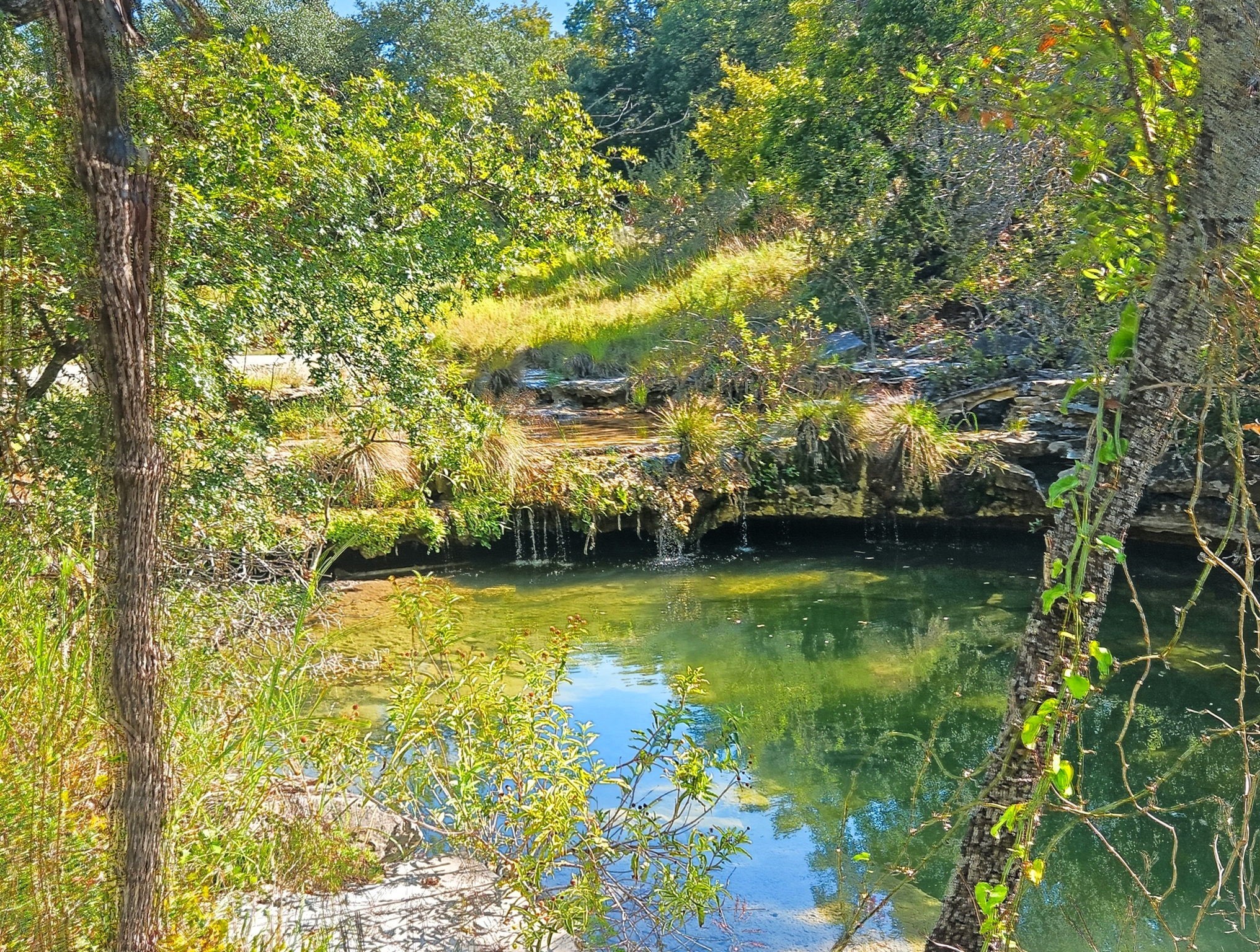 2977 Fm 1241 Purmela TX 76566