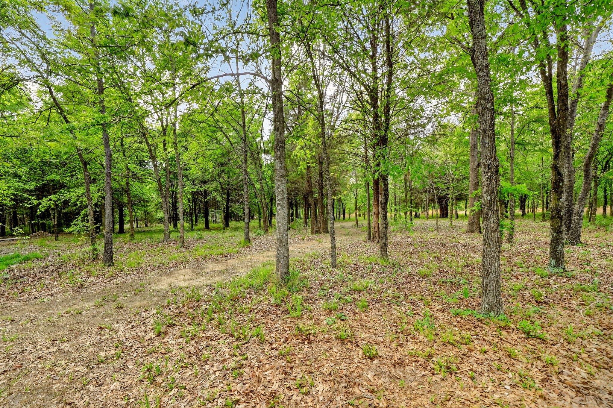 2211 Canyon Lake Road Wills Point TX 75169