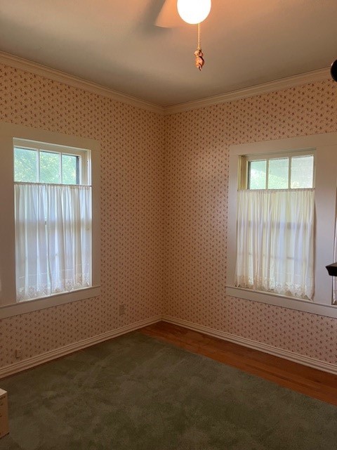 248 S Jacobs Street Albany TX 76430