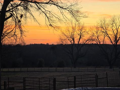 20086 County Road 299 Arp TX 75750
