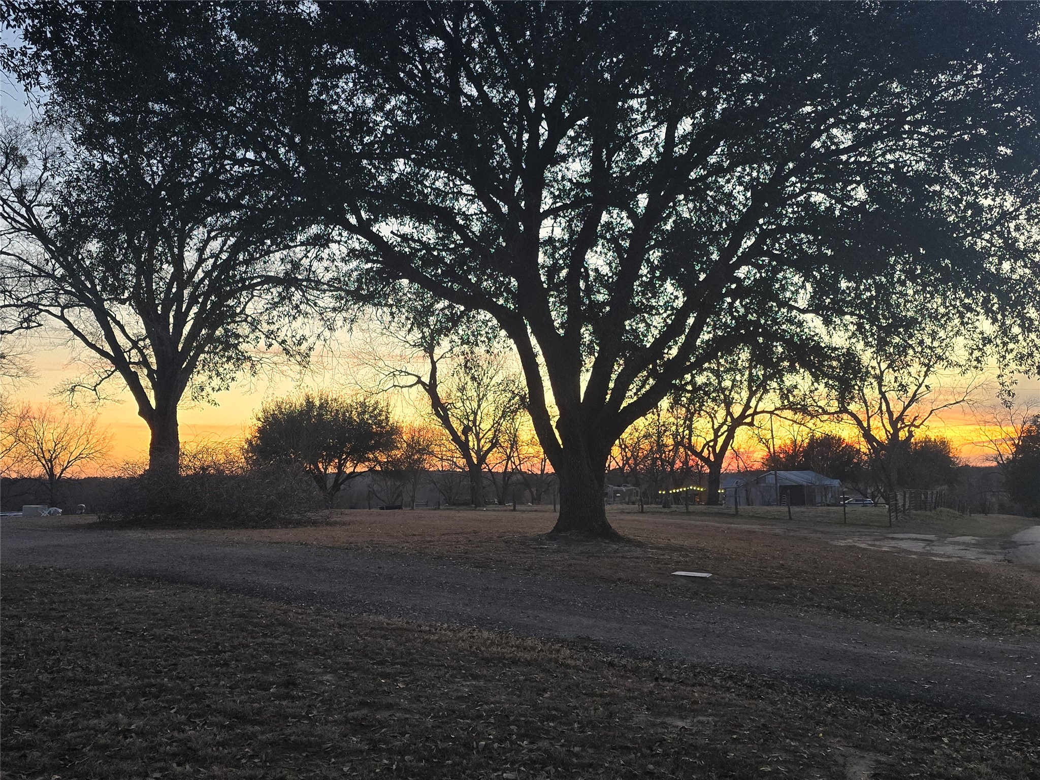 20086 County Road 299 Arp TX 75750