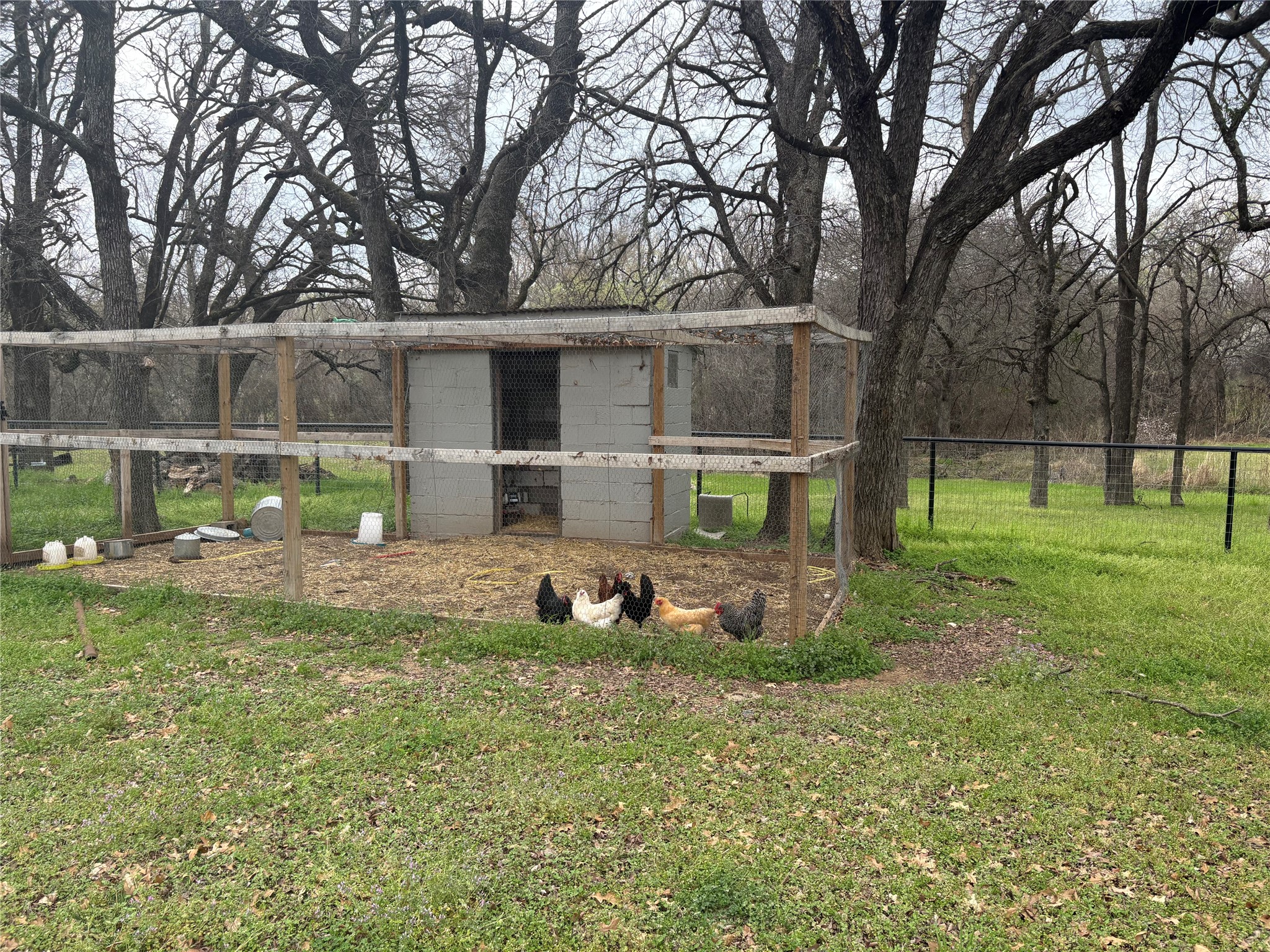 150 Ash Creek Court Springtown TX 76082