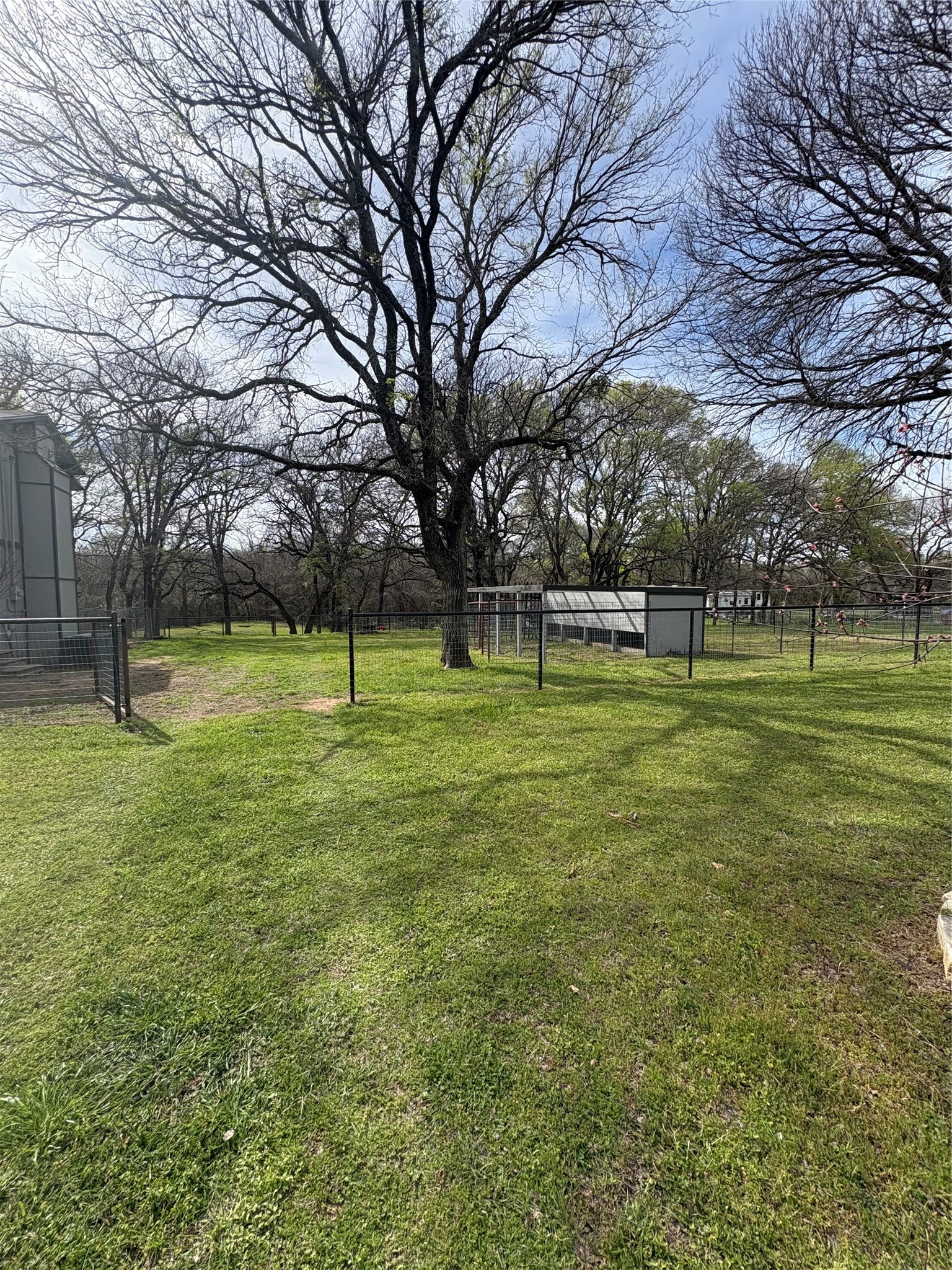 150 Ash Creek Court Springtown TX 76082