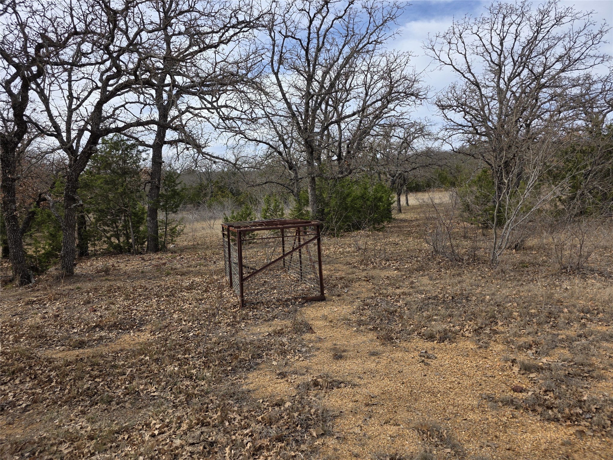 4451 Fm 585 Bangs TX 76823