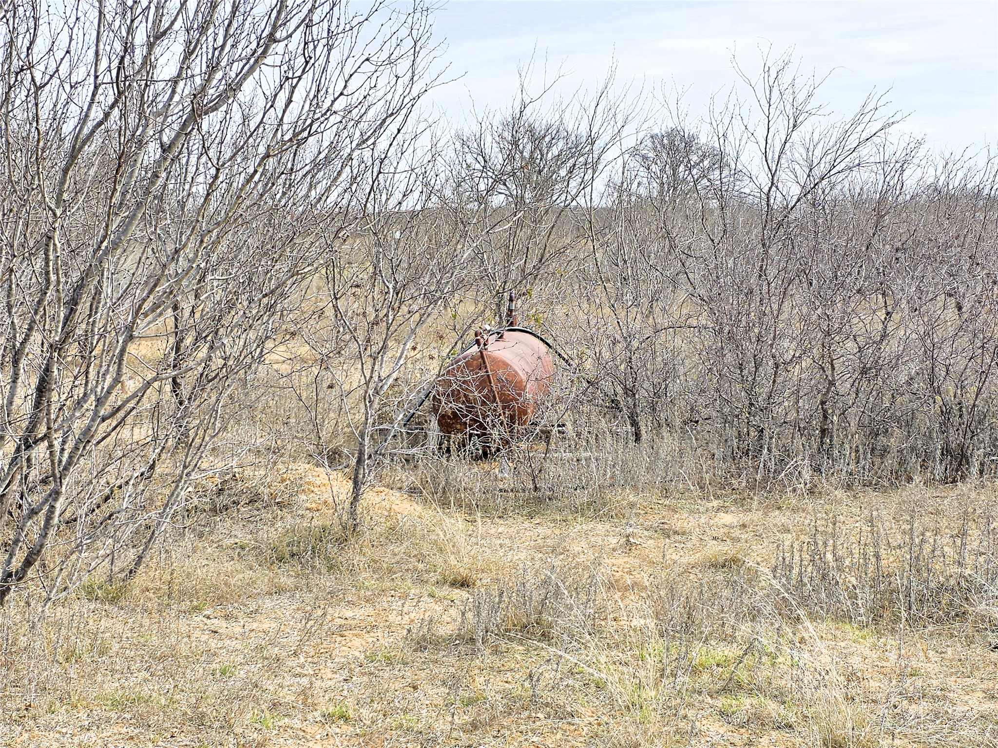 4451 Fm 585 Bangs TX 76823