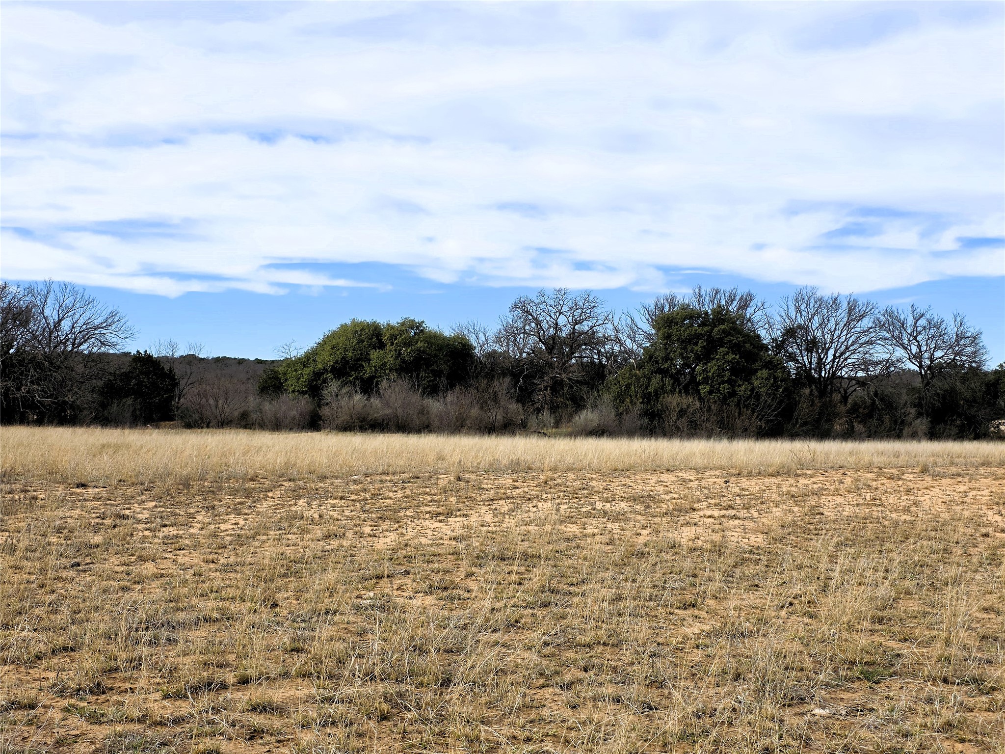 4451 Fm 585 Bangs TX 76823