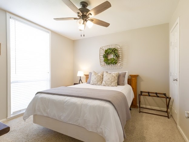 1957 Deer Trail Road Possum Kingdom Lake TX 76449