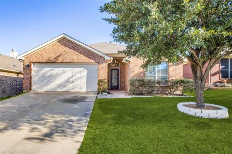 2117 Sunny Side Drive Little Elm TX 75068