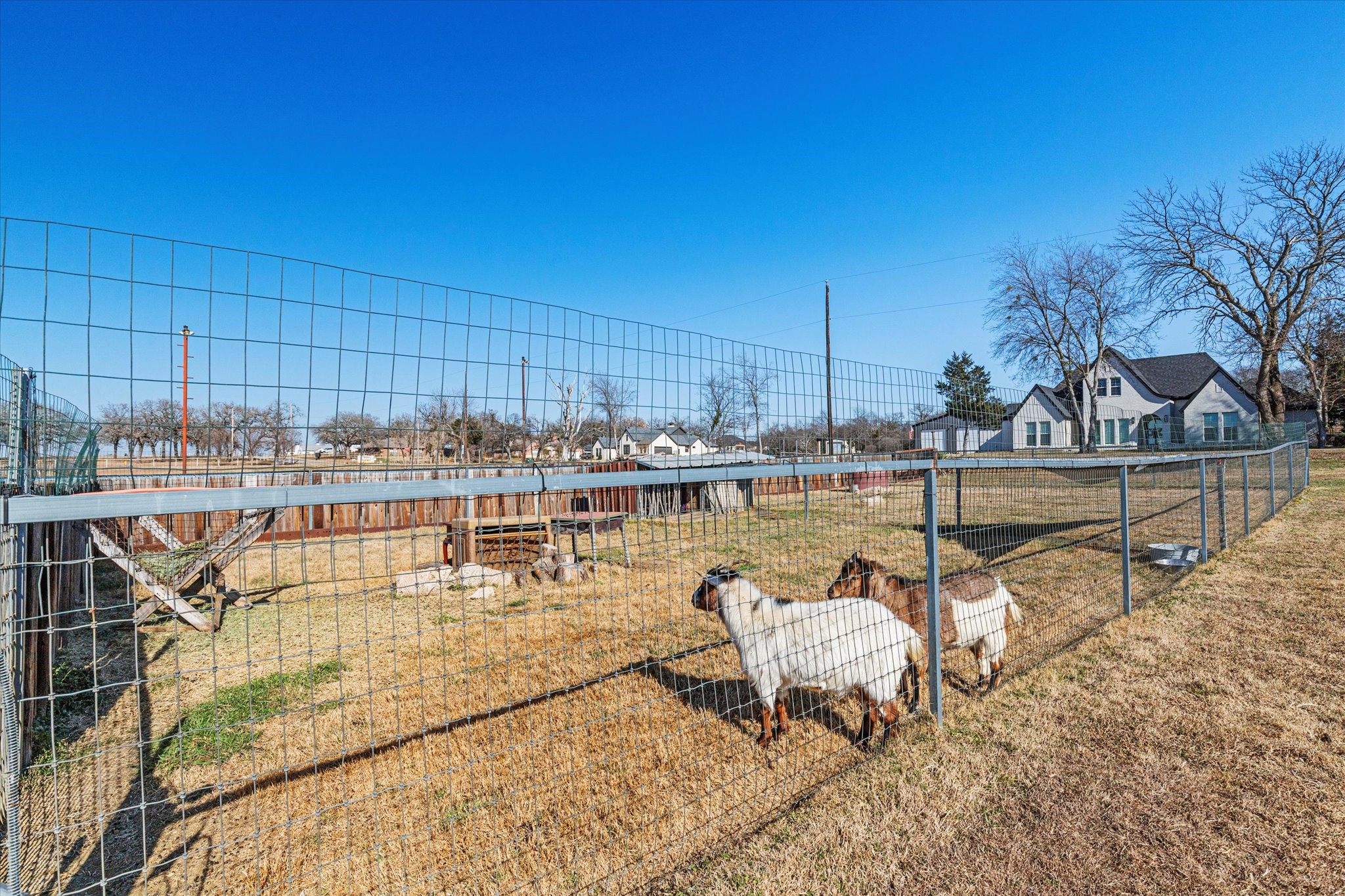 11975 Massey Road Pilot Point TX 76258