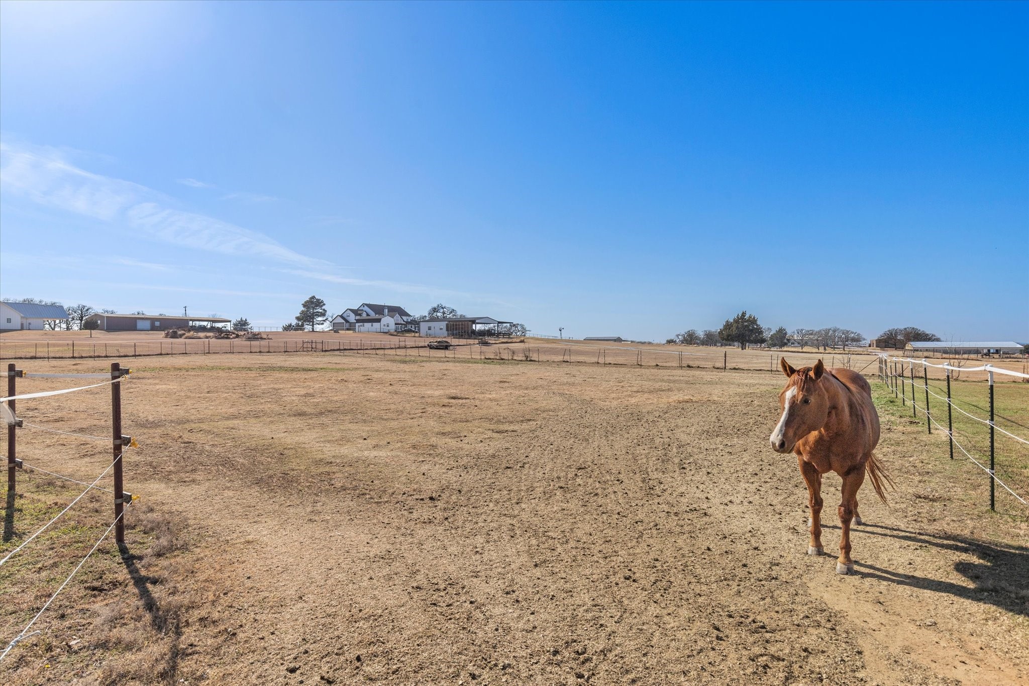 11975 Massey Road Pilot Point TX 76258