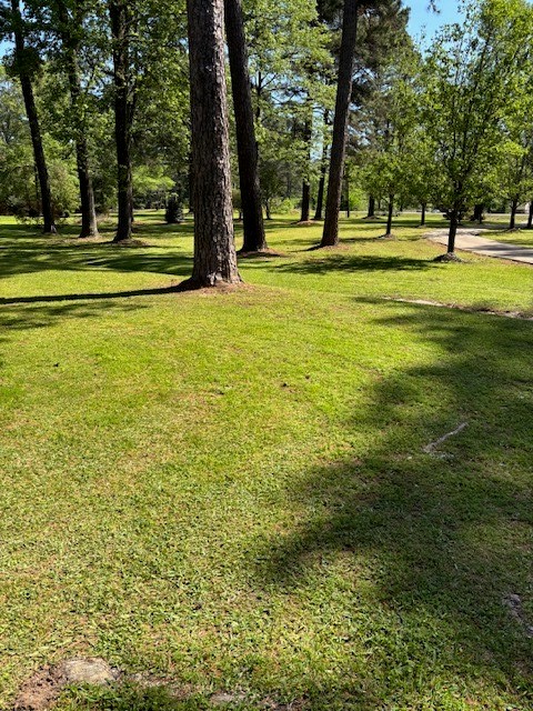 7985 N Lakeshore Drive Shreveport LA 71107