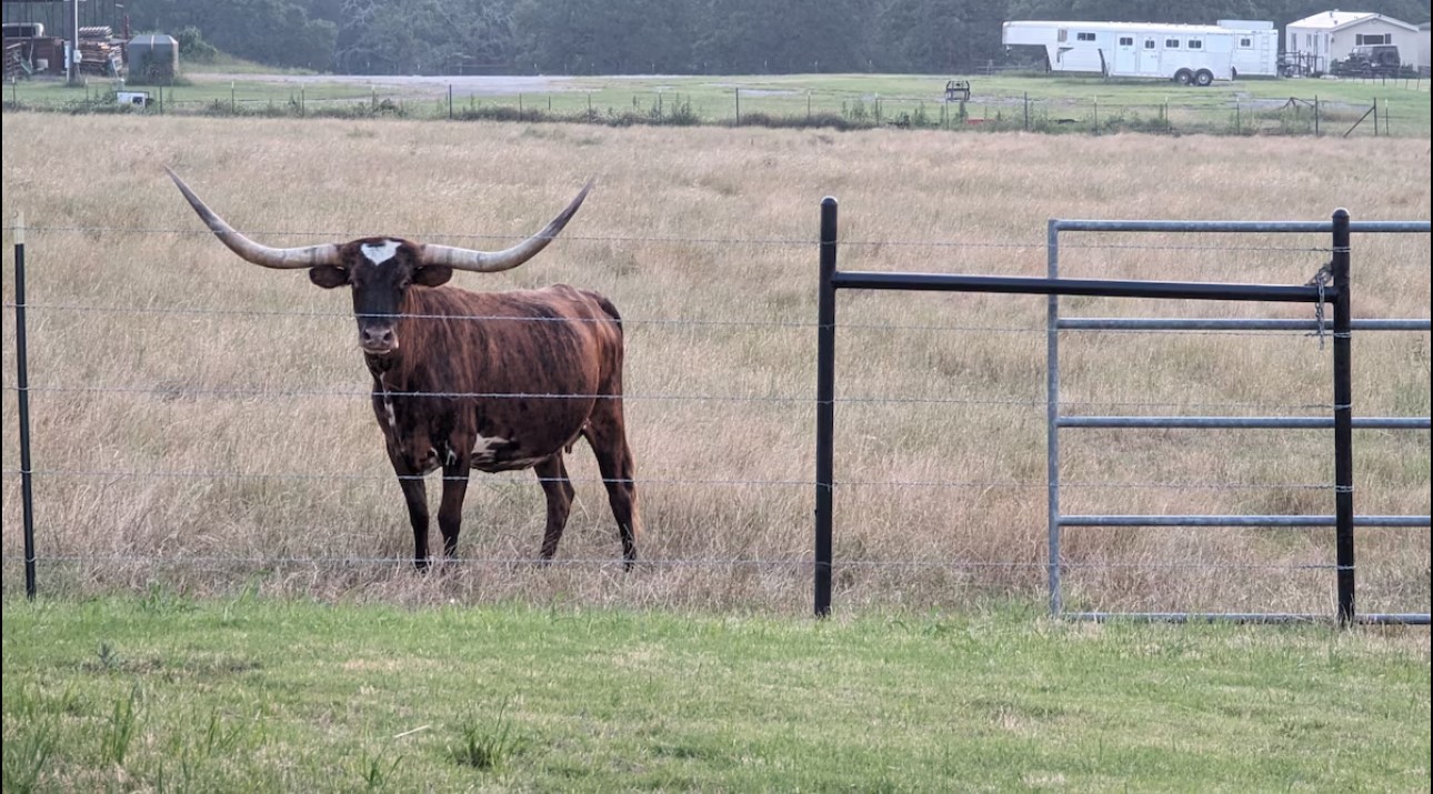 886 County Road 3341 Paradise TX 76073