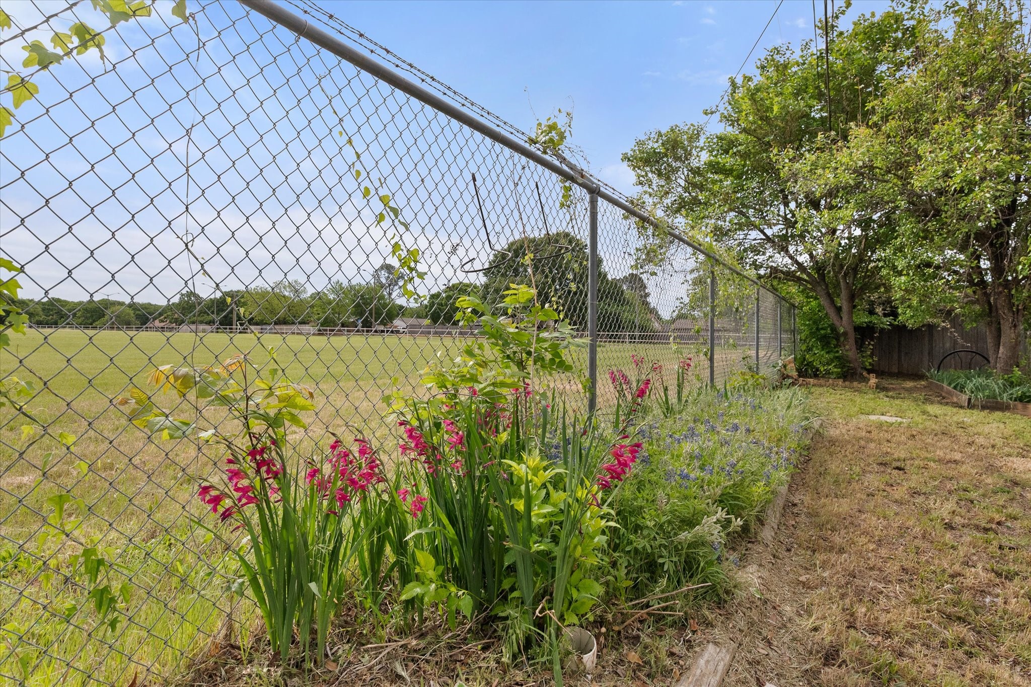 3211 Vernon Drive Arlington TX 76015