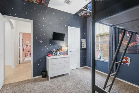 2417 Michelle Creek Drive Little Elm TX 75068