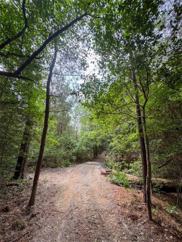 305 County Road 1145 Atlanta TX 75551
