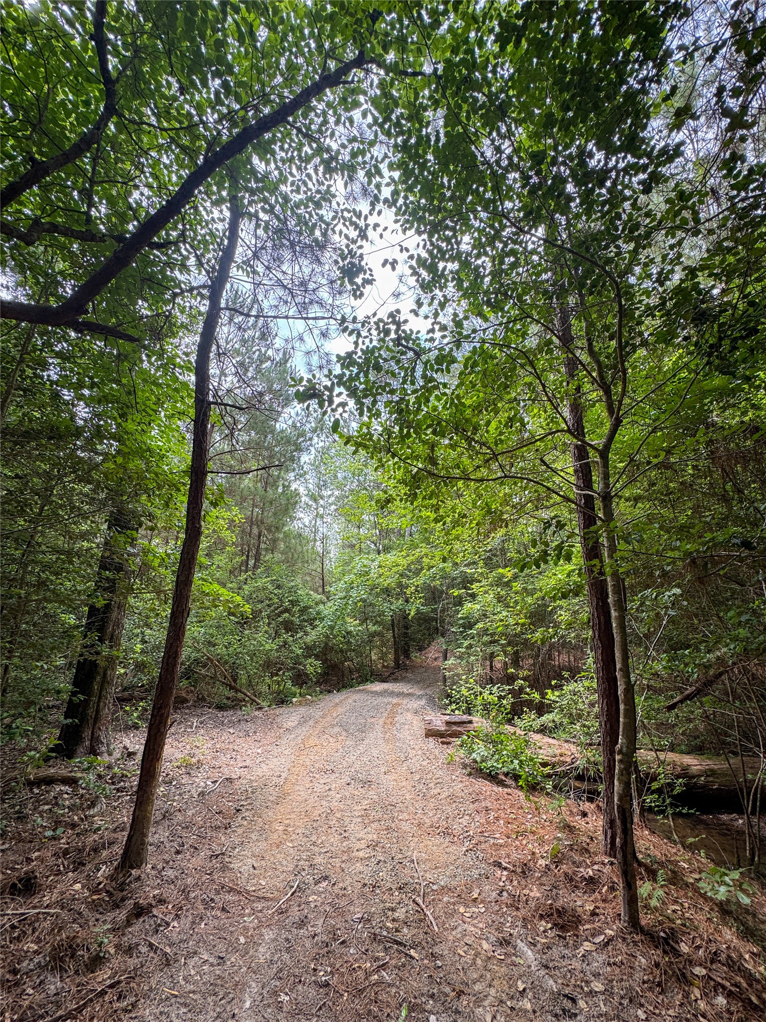305 County Road 1145 Atlanta TX 75551