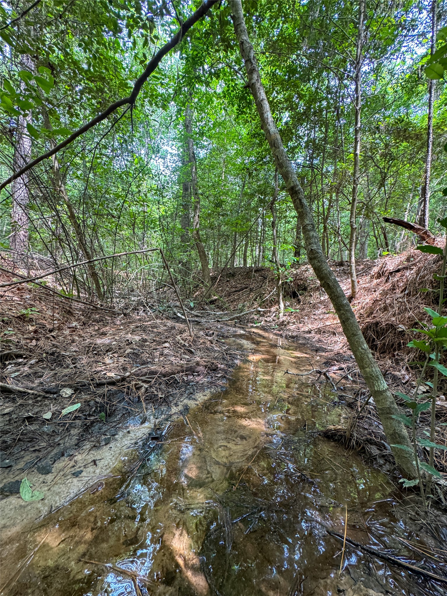 305 County Road 1145 Atlanta TX 75551