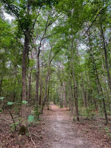 305 County Road 1145 Atlanta TX 75551
