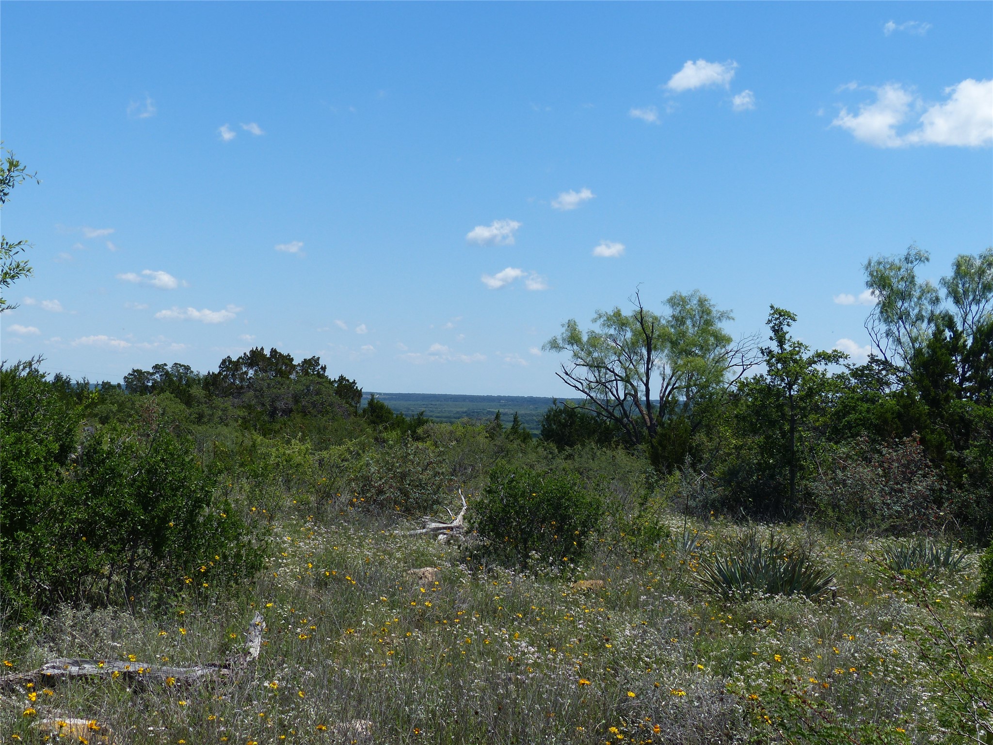 1825 Fm 1028 Rochelle TX 76872