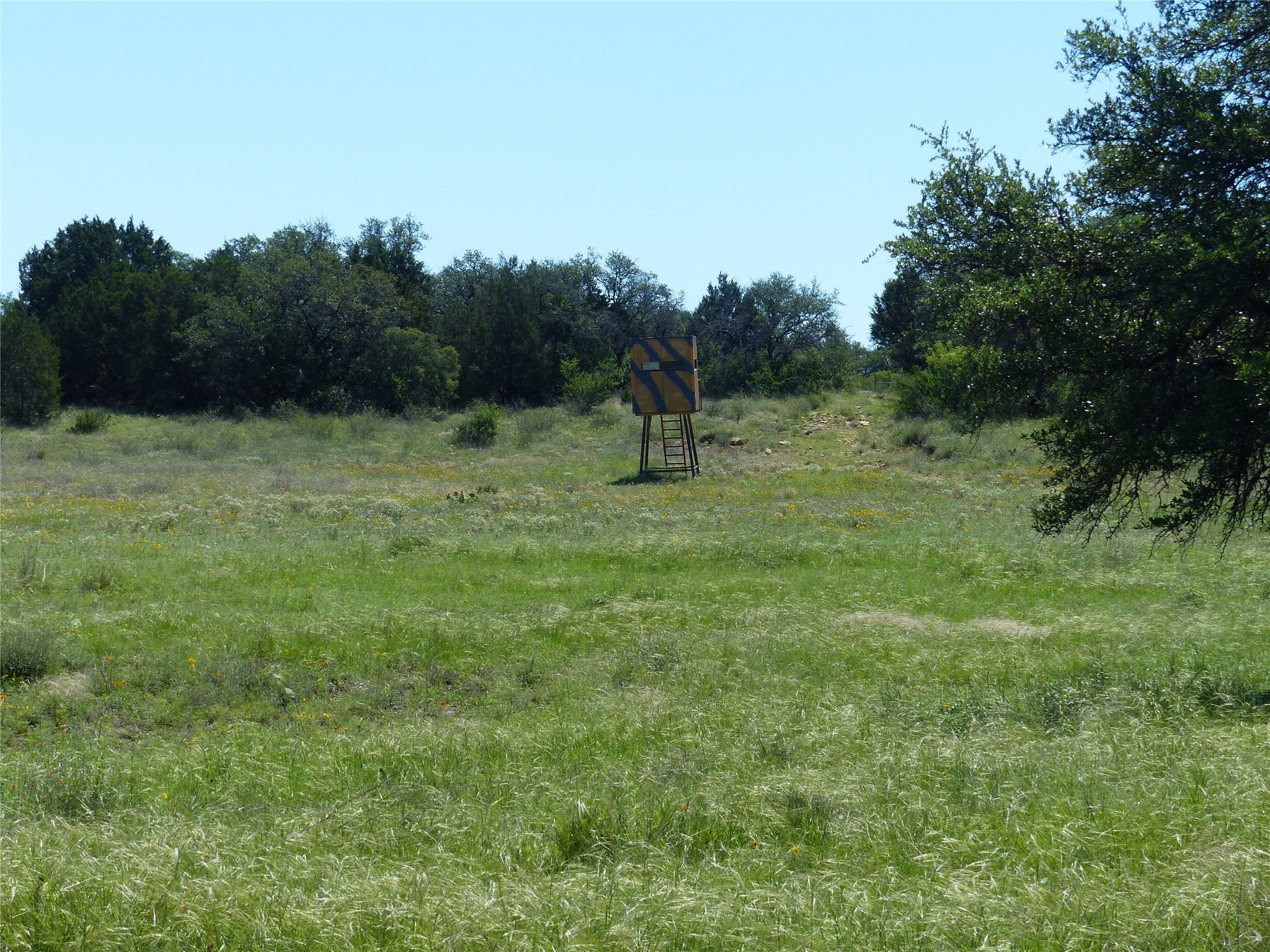 1825 Fm 1028 Rochelle TX 76872