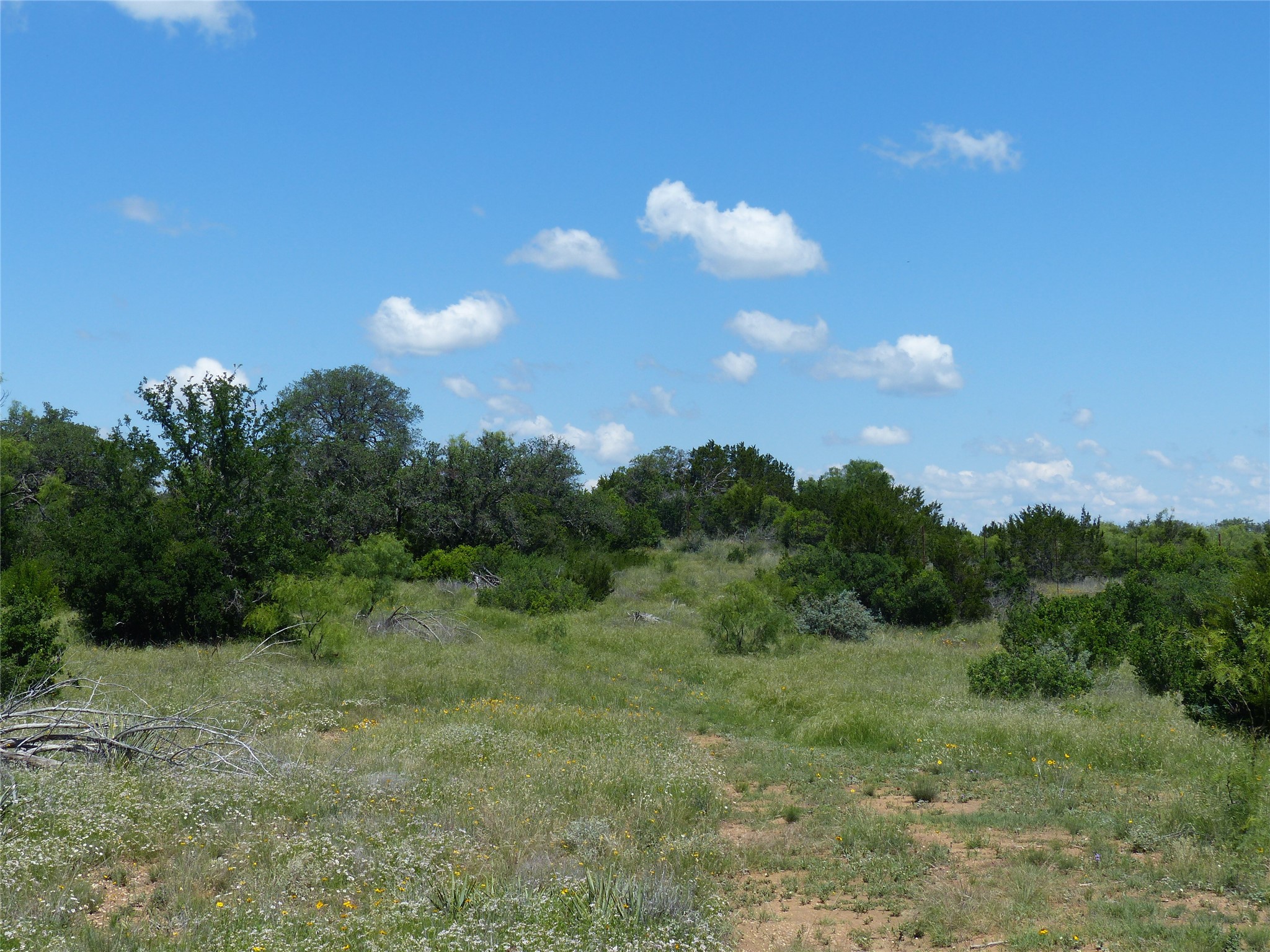 1825 Fm 1028 Rochelle TX 76872