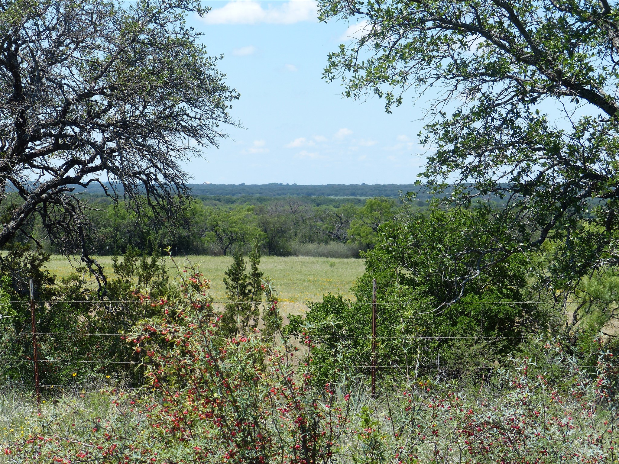 1825 Fm 1028 Rochelle TX 76872