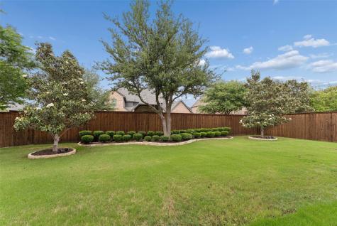 3920 Briar Tree Lane Frisco TX 75034