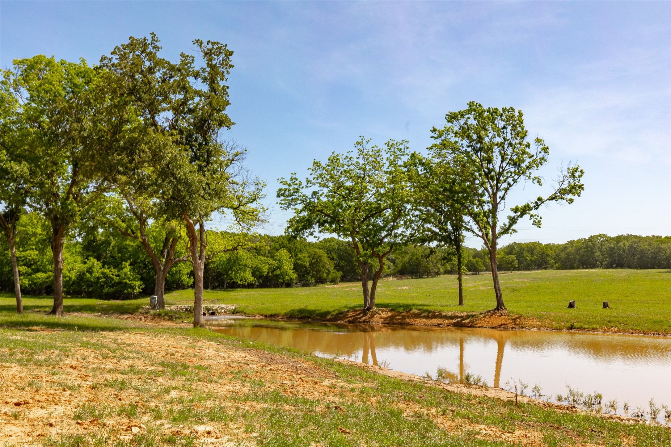 1466 County Road 1270 Alvord TX 76225