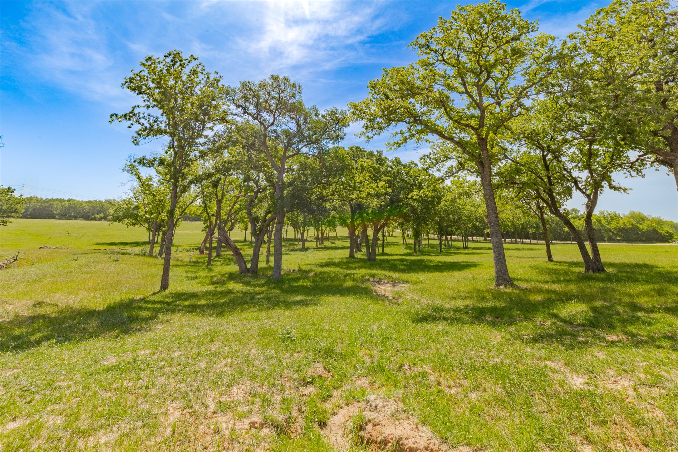 1466 County Road 1270 Alvord TX 76225