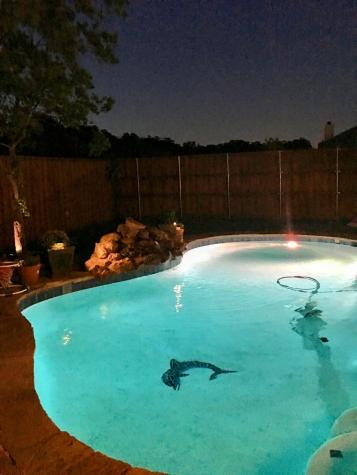2516 Castle Pines Drive Burleson TX 76028